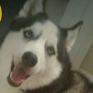 Meet your Posher, Maria del pilar